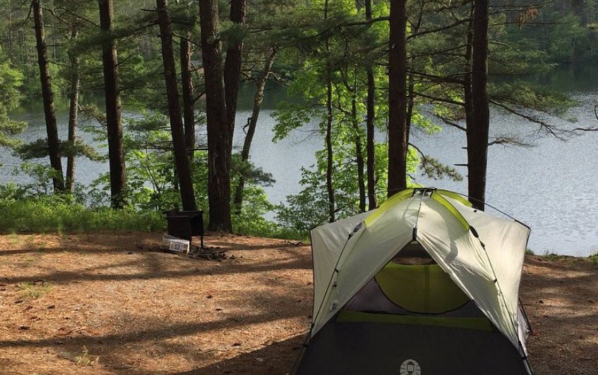 Myles Standish State Forest, Massachusetts, USA